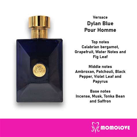 versace dylan blue note olfattive|versace dylan blue men notes.